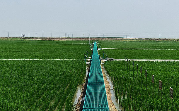 硅膠線有哪些特點？